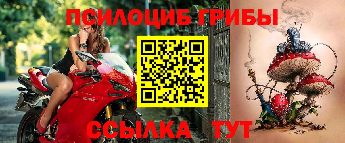 Галлюциногенные грибы мухоморы Чита