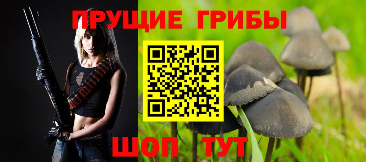 Чита  Псилоцибиновые грибы GOLDEN TEACHER  Вход с VPN 