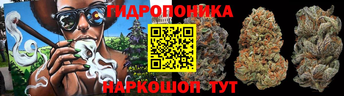 Каннабис планчик Чита